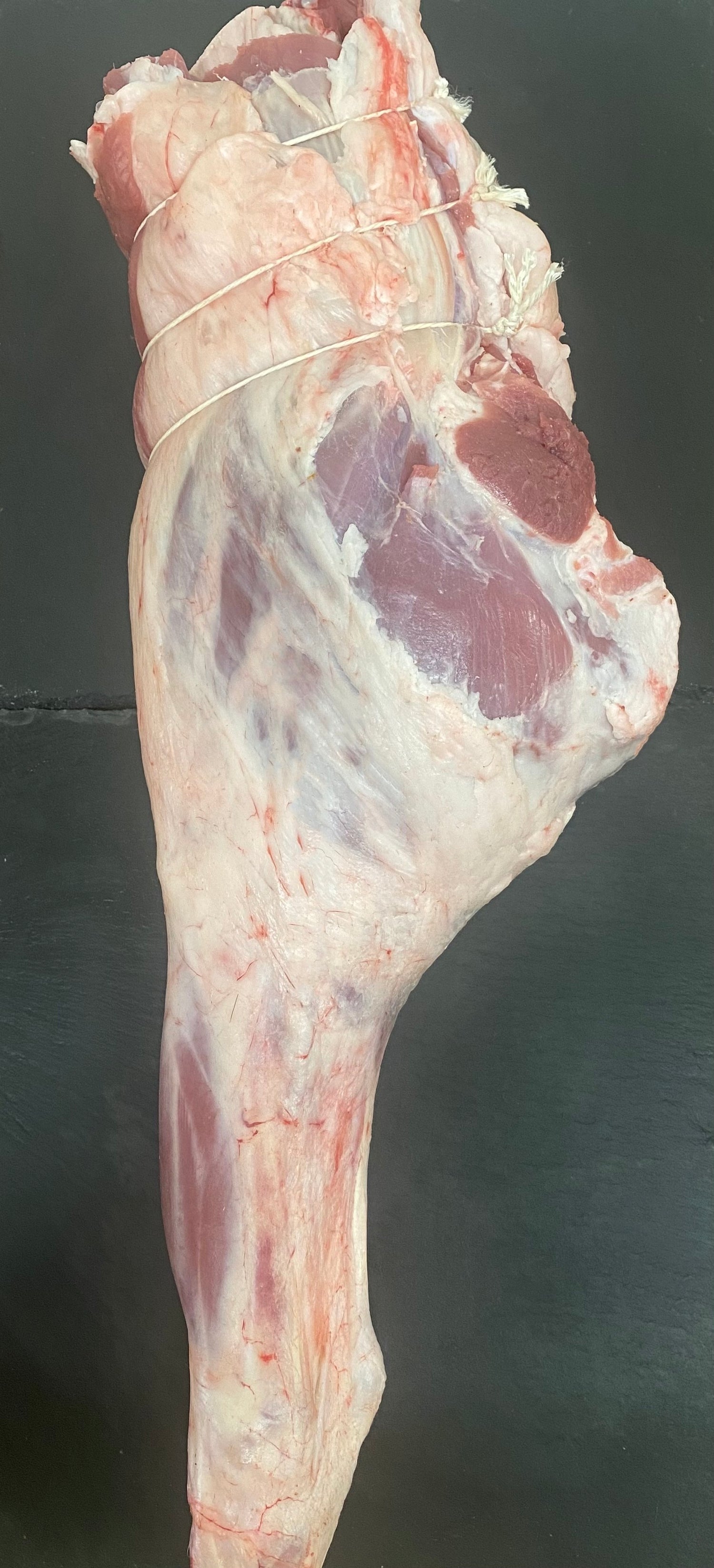Lamb